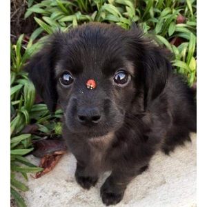 Meet your Posher, Kay